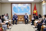 Phó Thủ tướng Hồ Quốc Dũng tiếp lãnh đạo Cơ quan Năng lượng nguyên tử Quốc tế (IAEA)