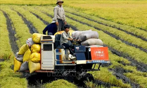 Việt Nam đang có nhiều cơ hội phát triển nông nghiệp xanh bền vững