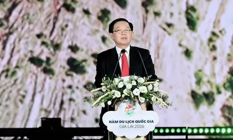 Khai mạc Năm Du lịch quốc gia - Gia Lai 2026: Đại ngàn chạm biển xanh