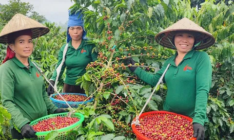 Nghị quyết 79 qua góc nhìn của doanh nghiệp tư nhân: Đồng hành để vươn xa