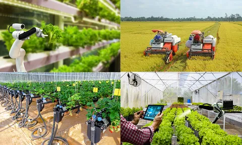 15 năm Tạp chí Công nghiệp Nông thôn: Lan tỏa tri thức, thúc đẩy phát triển cơ khí và công nghiệp nông thôn Việt Nam