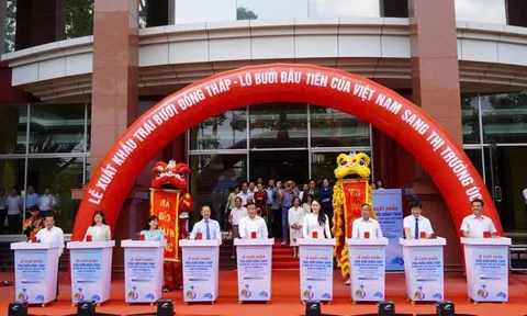 Bưởi Việt “cập bến” Úc: Thành quả từ nỗ lực đàm phán mở cửa thị trường