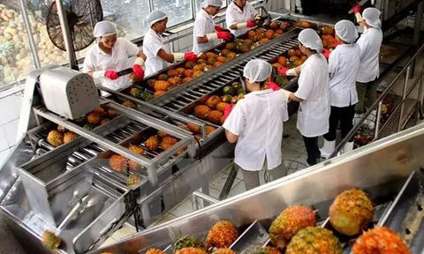 Phát triển mô hình chế biến nông sản giá trị cao: Động lực mới cho công nghiệp nông thôn