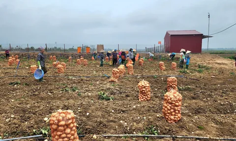 Thu hút đầu tư về nông thôn – dễ hay khó?