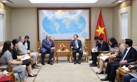 Phó Thủ tướng Hồ Quốc Dũng tiếp lãnh đạo Cơ quan Năng lượng nguyên tử Quốc tế (IAEA)