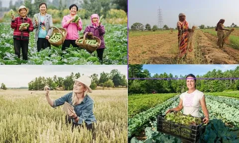 Vai trò phụ nữ trong phát triển kinh tế nông thôn