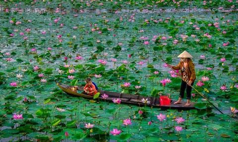 Đồng Tháp phát triển kinh tế nông thôn: Động lực từ công nghiệp chế biến và làng nghề