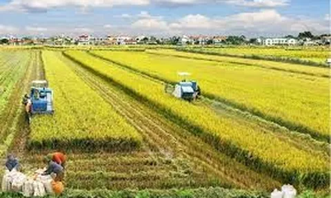 Thái Bình: Xây dựng nông thôn mới từ nền tảng sản xuất nông nghiệp hiện đại