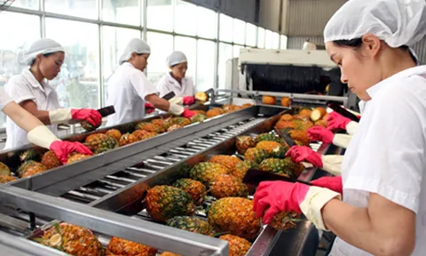 Ứng dụng công nghệ cao trong chế biến nông sản: Bước chuyển từ “lượng” sang “chất”
