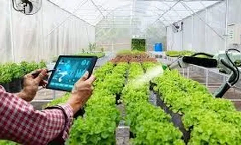Nông nghiệp thông minh và Internet vạn vật: Hướng đi mới cho sản xuất nông nghiệp hiện đại