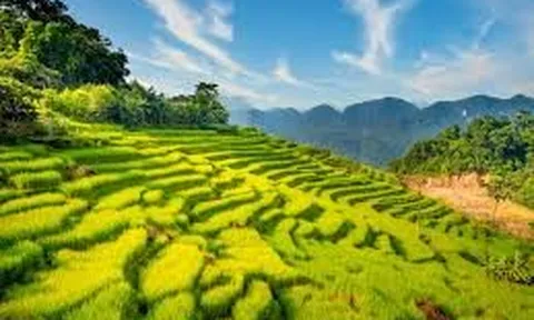 Pù Luông: Điểm đến sinh thái giữa đại ngàn xứ Thanh