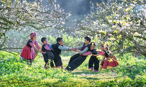 Mộc Châu: Khi du lịch xanh trở thành sức hút của vùng cao Tây Bắc