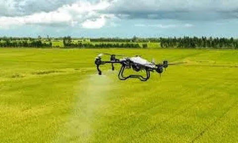 Tái định vị khuyến nông: Trở về với thực địa, lấy nông dân làm trung tâm