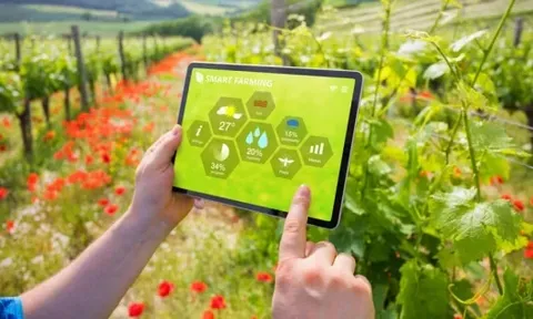 Công nghiệp hóa, hiện đại hóa nông nghiệp, nông thôn: Động lực cho bước chuyển mới của nông nghiệp Việt Nam