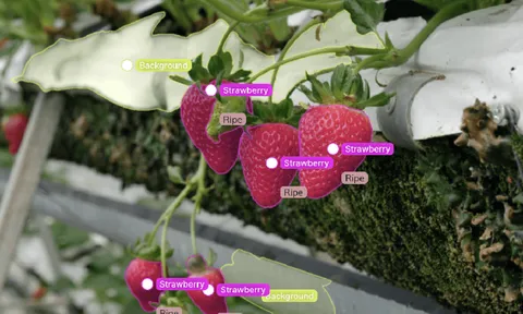 Trí tuệ nhân tạo và truy xuất nguồn gốc nông sản: Động lực cho nền nông nghiệp minh bạch và hội nhập