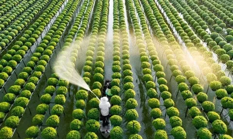 Công nghiệp nông thôn trong chiến lược kinh tế xanh