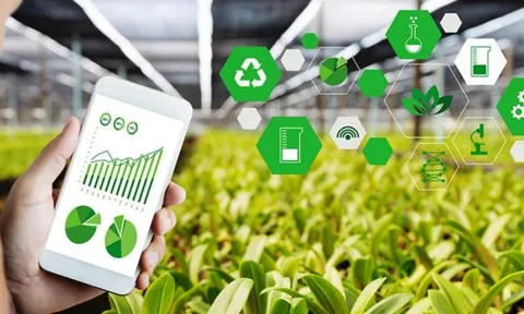 Chuyển đổi số trong công nghiệp nông thôn: Cơ hội hay thách thức?