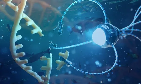 Khi công nghệ nano bước vào chuồng trại: Hướng đi mới cho chăn nuôi bền vững