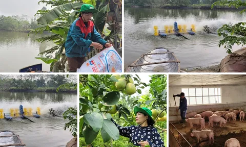 Phát triển công nghiệp nông thôn theo hướng xanh và kinh tế tuần hoàn