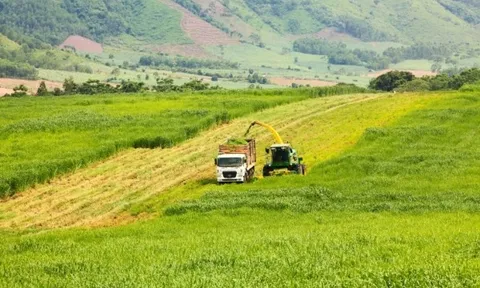 Hướng tới Net Zero: Chuyển đổi từ nông nghiệp đến năng lượng xanh