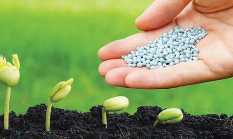 Thúc đẩy phát triển ngành phân bón nông thôn bằng đổi mới công nghệ