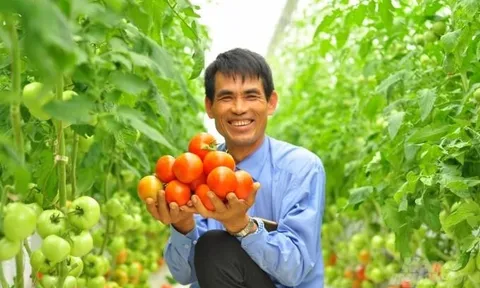 Tập trung nguồn lực, tạo đột phá trong xây dựng nông thôn mới giai đoạn 2026–2035