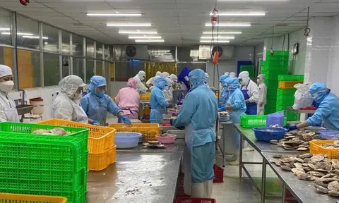 Cơ hội và thách thức cho nông sản Việt trước 'khoảng trống' tại thị trường EU
