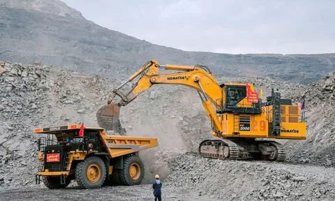 Phê duyệt mức vốn điều lệ của Công ty mẹ - Tập đoàn Công nghiệp Than - Khoáng sản Việt Nam