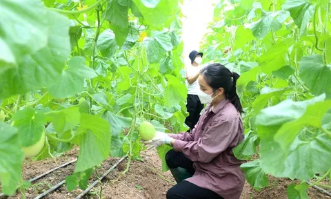 Khả thi mục tiêu 65 tỷ USD xuất khẩu nông, lâm, thủy sản