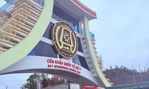 Xuất nhập khẩu tăng mạnh; Hải quan xử lý hơn 11.900 vụ vi phạm