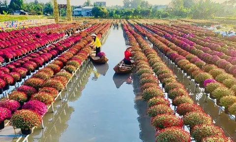 Festival Hoa-Kiểng Sa Đéc 2025: Bứt phá để khẳng định thương hiệu du lịch quốc tế