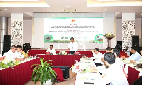 Đề án 1 triệu ha lúa chất lượng cao: Cuộc cách mạng nông nghiệp cho ĐBSCL