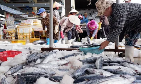 Bộ trưởng Bộ Công Thương gửi thư đề nghị Hoa Kỳ xem xét khách quan về thương mại thủy sản