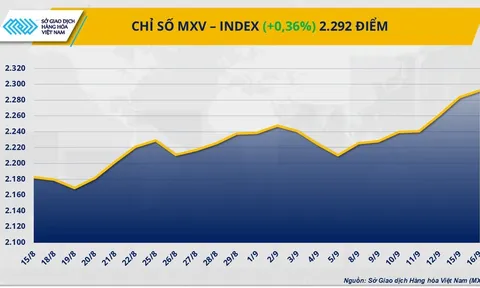 THỊ TRƯỜNG HÀNG HÓA: Diễn biến sôi động