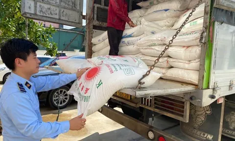 Nghệ An: Phát hiện, tạm giữ 3 tấn đường cát nhập lậu