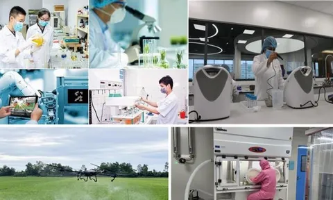 Ban hành Khung chỉ số đánh giá tiềm lực, trình độ KHCN và đổi mới sáng tạo