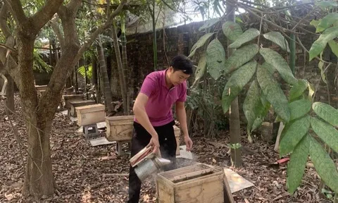 Khẳng định thương hiệu nông sản sạch từ sản phẩm OCOP