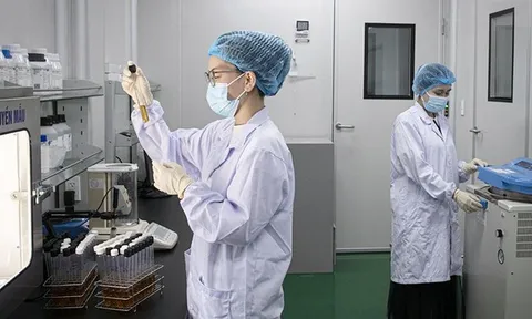 Cơ chế, chính sách thu hút chuyên gia khoa học, công nghệ, đổi mới sáng tạo và chuyển đổi số