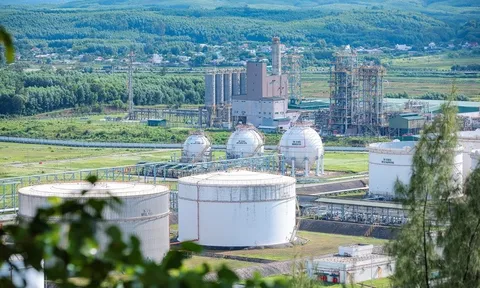 Ứng dụng khoa học, công nghệ: Nền tảng cho sản xuất thông minh, xanh và giá trị gia tăng cao