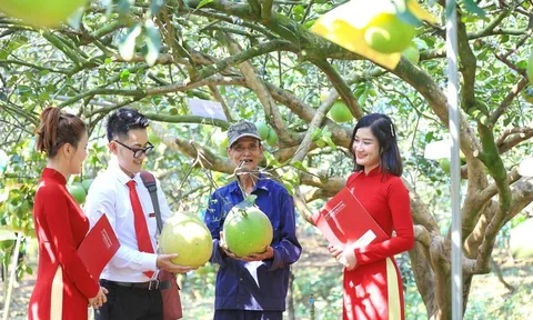 Agribank triển khai tín dụng xanh, góp phần thực hiện mục tiêu phát thải ròng bằng ‘0’