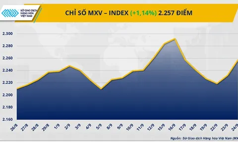 THỊ TRƯỜNG HÀNG HÓA: Giá đồng COMEX bật tăng mạnh, chạm đỉnh 2 tháng