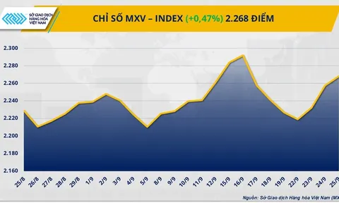 THỊ TRƯỜNG HÀNG HÓA: Lực mua áp đảo, MXV-Index xanh phiên thứ ba liên tiếp