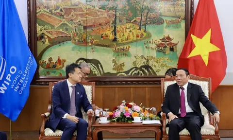 WIPO sẵn sàng hỗ trợ thúc đẩy sáng tạo và sở hữu trí tuệ cho Việt Nam