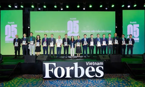 Thương hiệu công nghệ thông tin duy nhất được vinh danh Top 25 thương hiệu dẫn đầu