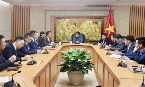 Khuyến khích Tập đoàn TCL chuyển giao công nghệ và hỗ trợ doanh nghiệp Việt Nam tham gia chuỗi cung ứng