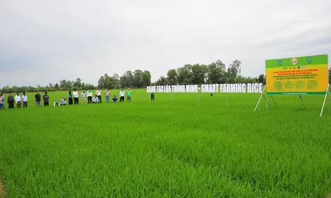 Vinachem: Chủ động nguồn lực, góp phần kiến tạo nền nông nghiệp tự cường