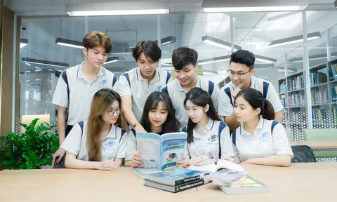 Bộ GD&ĐT tạm hoãn sắp xếp trường đại học, nghề nghiệp để chờ đề án mới