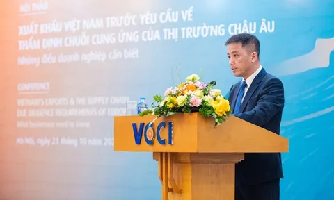 Doanh nghiệp Việt cần thích ứng trước 'bài kiểm tra' chuỗi cung ứng của châu Âu
