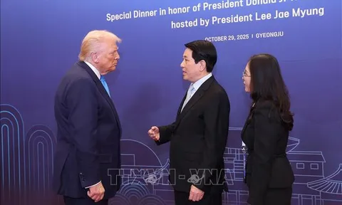 Chủ tịch nước Lương Cường gặp Tổng thống Hoa Kỳ Donald Trump