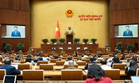 Cần một đạo luật tổng thể cho chuyển đổi số quốc gia